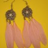 Aretes pluma