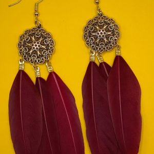 Aretes pluma